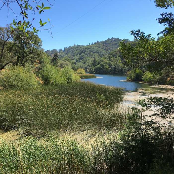 Near Phoenix Lake Loop