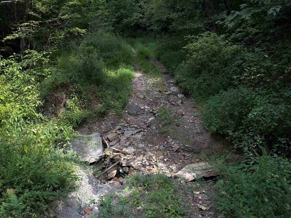 Shack Creek Connector   photo 6
