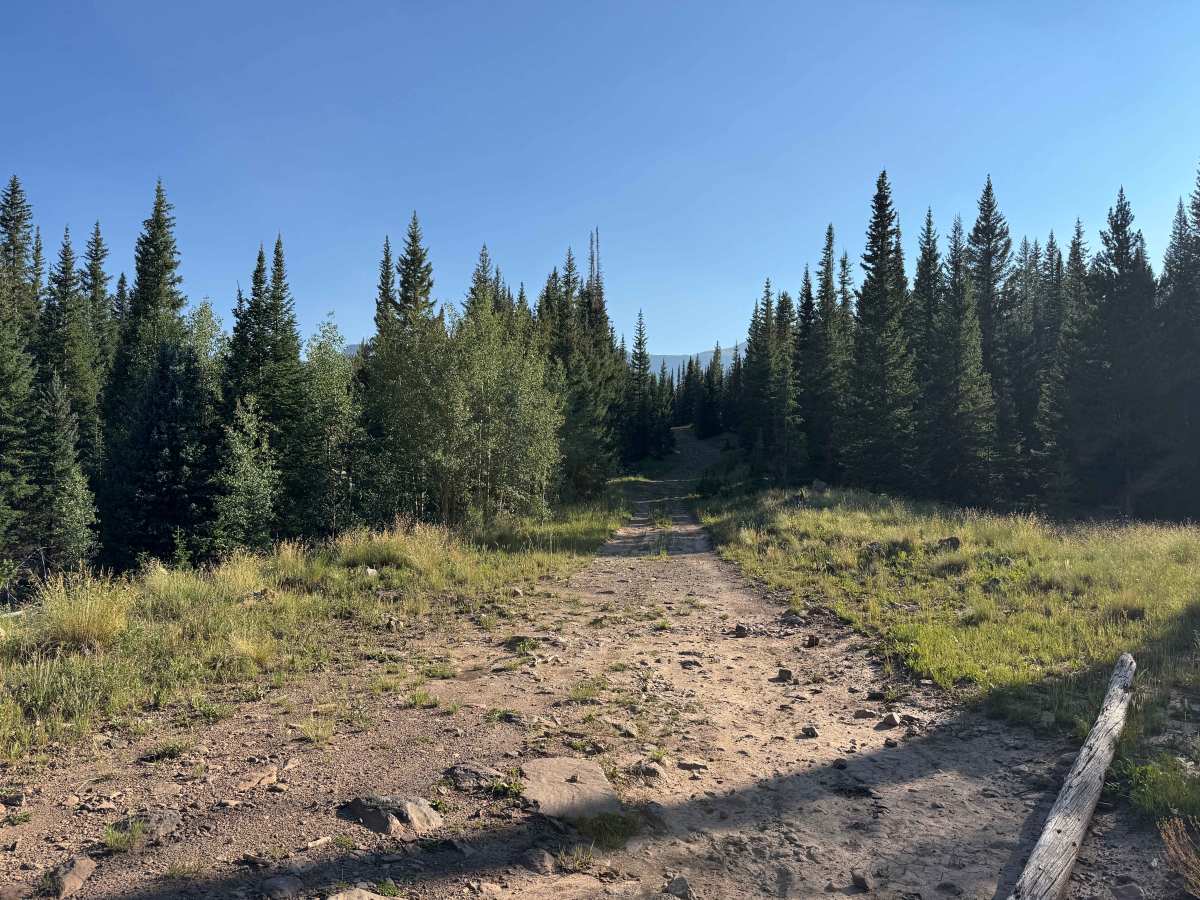 Dome Creek Road - FS 911 photo 3