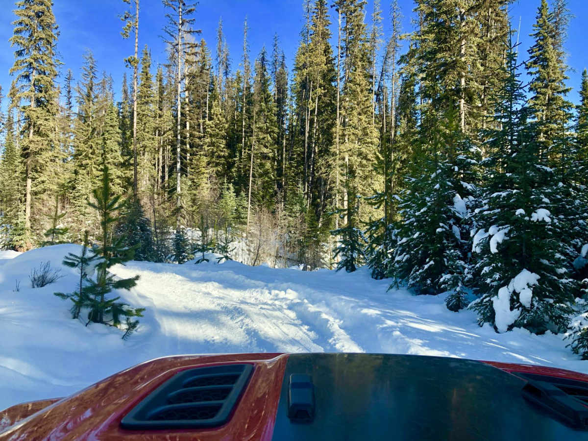 Beaver Lake Rd photo 4