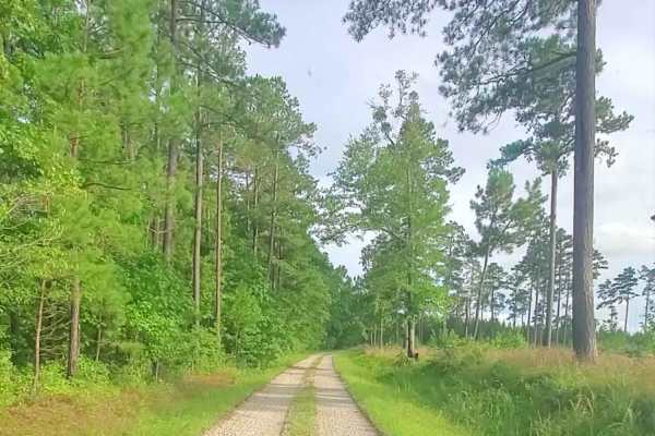 Lick Fork Road