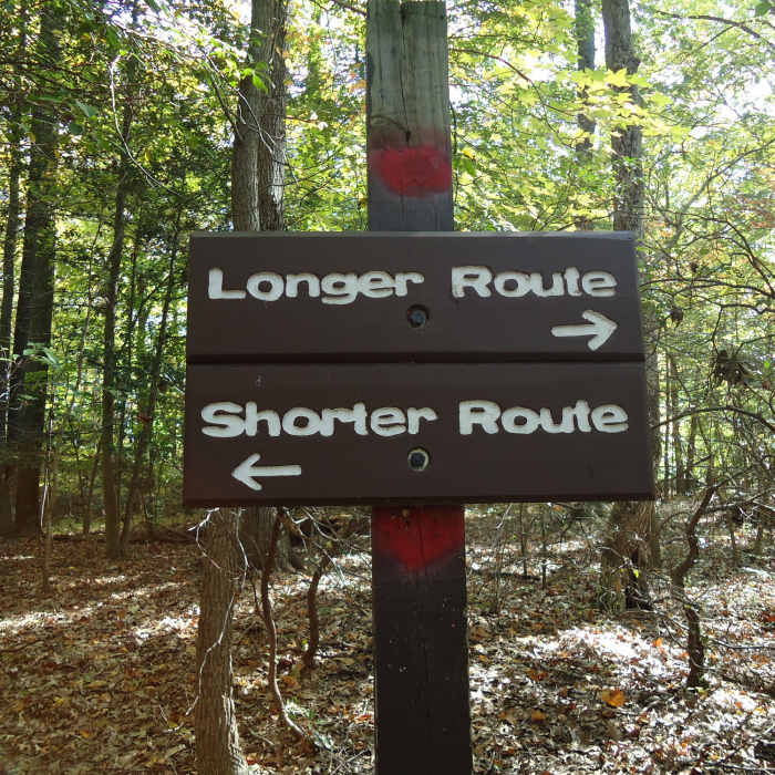 Near Perimeter Trail