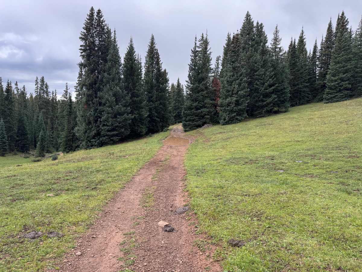 Turkey Creek Road trail photo