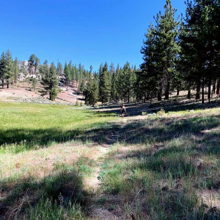 Near Manter Meadow Hike