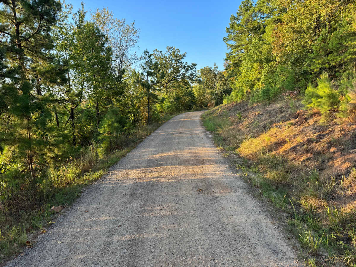 Zelon Young / Robert Hill Road photo 3