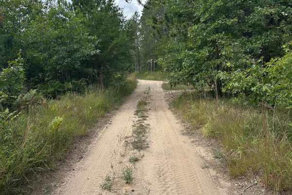Iosco Road