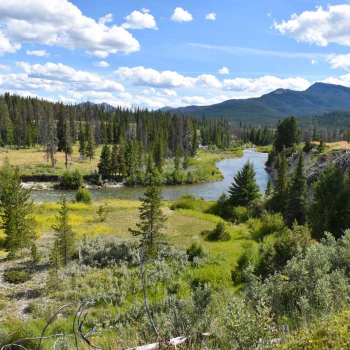 Near The Chinese Wall Loop