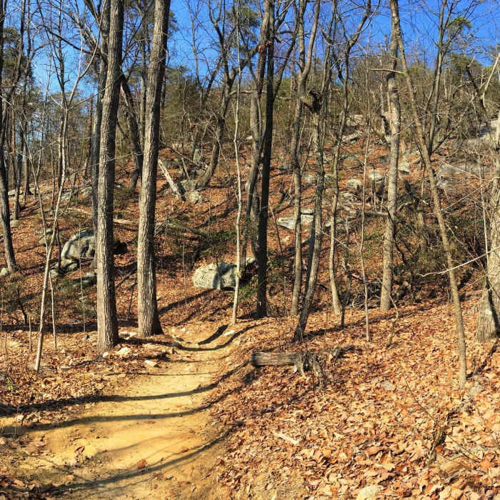 Near Vertical Mile Challenge Loop