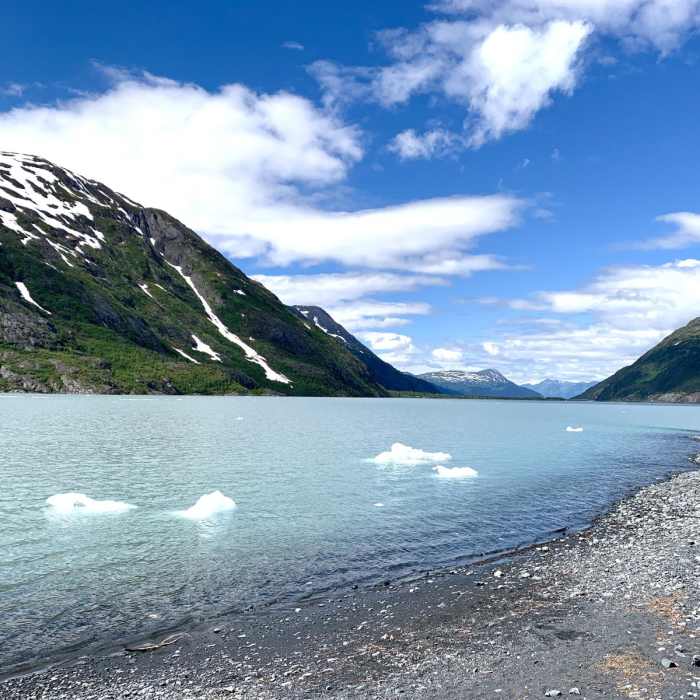 Near Portage Pass Trail Near Portage Pass Trail