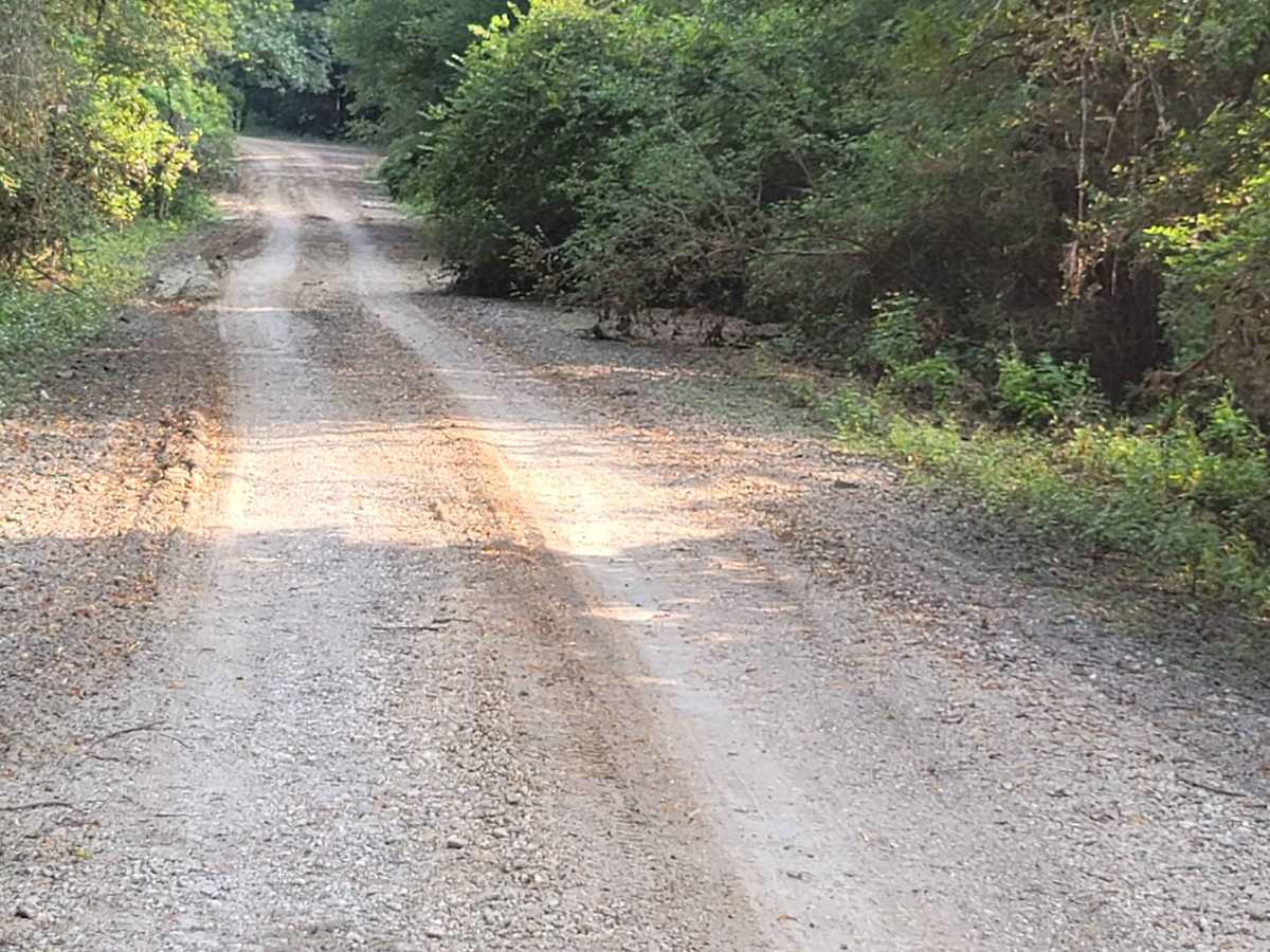 Trail to the Sulphur River photo 3