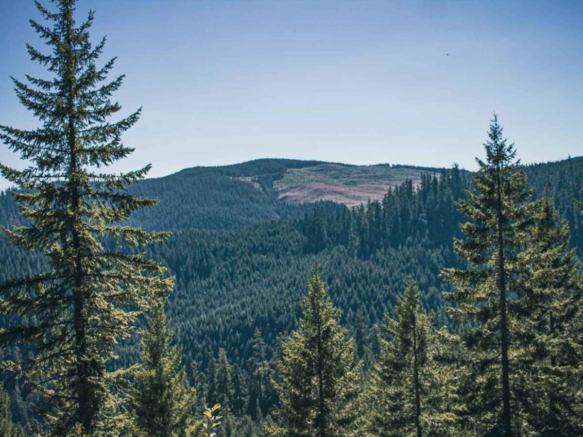 June Mountain photo 3