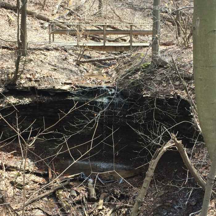 Near Cool Spirit Loop