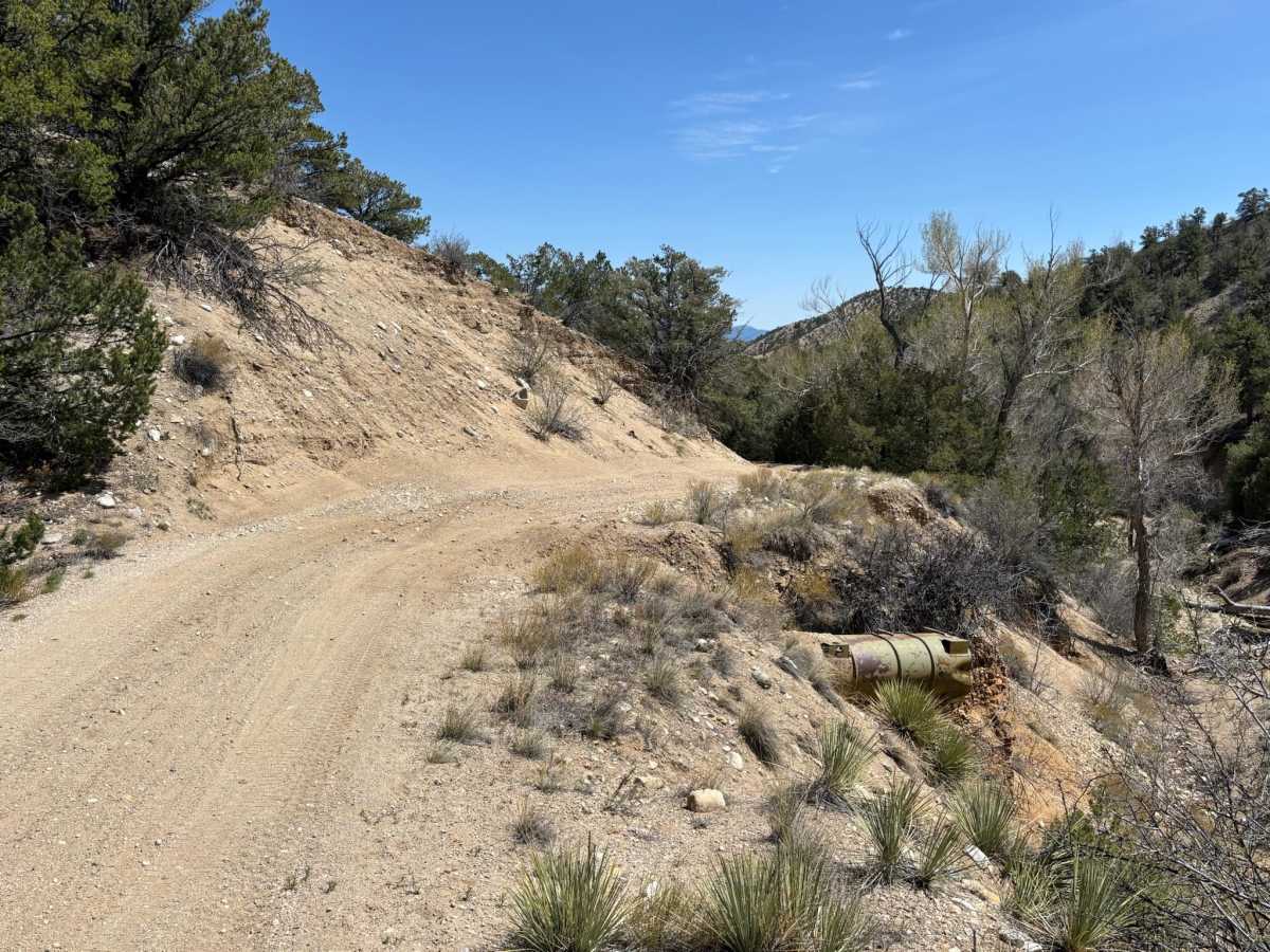 BLM 5630 photo 4
