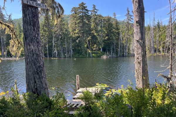 Pet's Pond