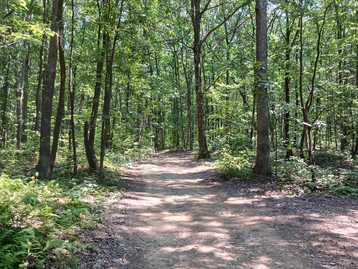 Oak Lane - Rock Run Recreation Area photo 4