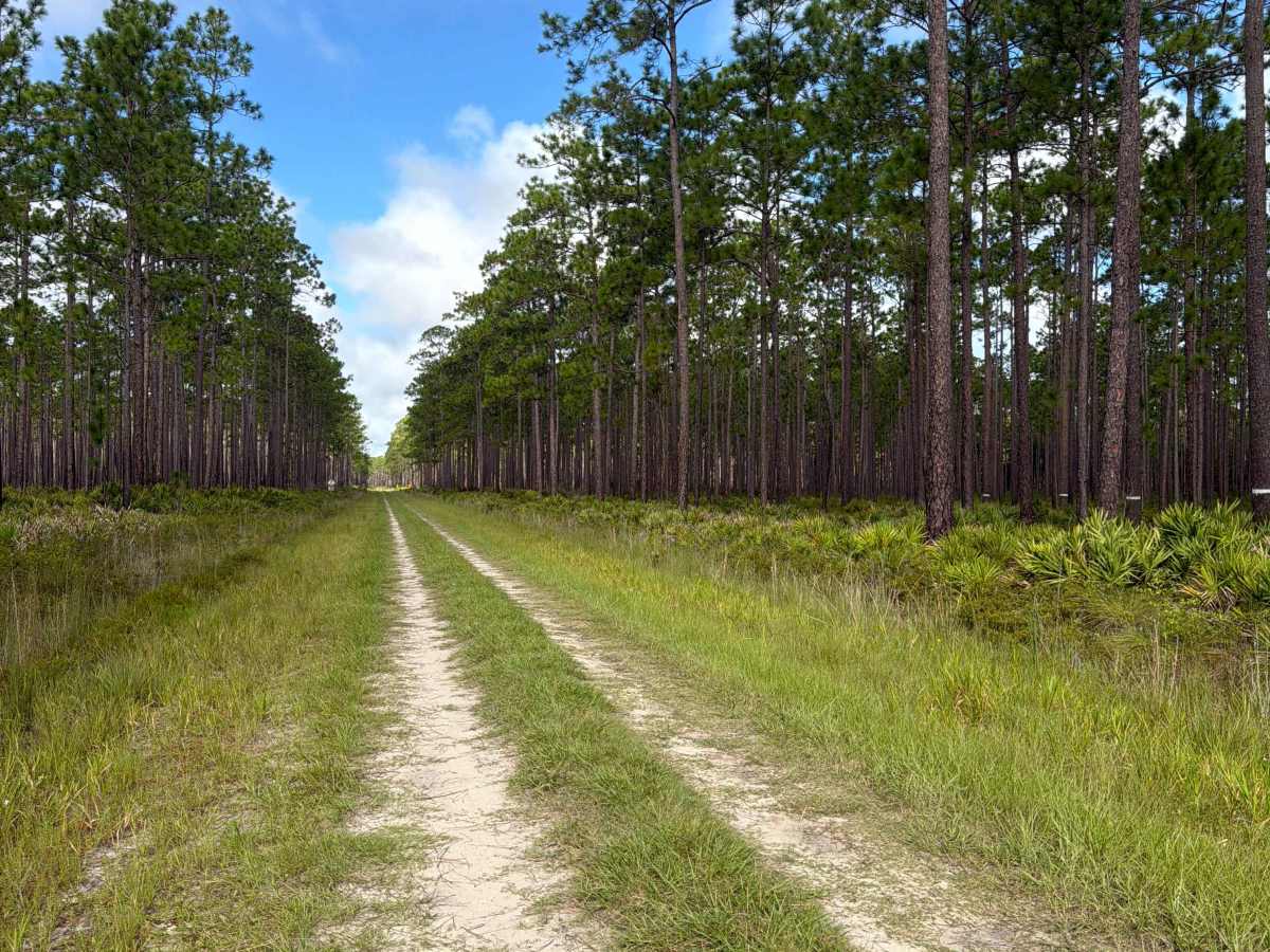 Osceola Connector - FS 216 photo 5