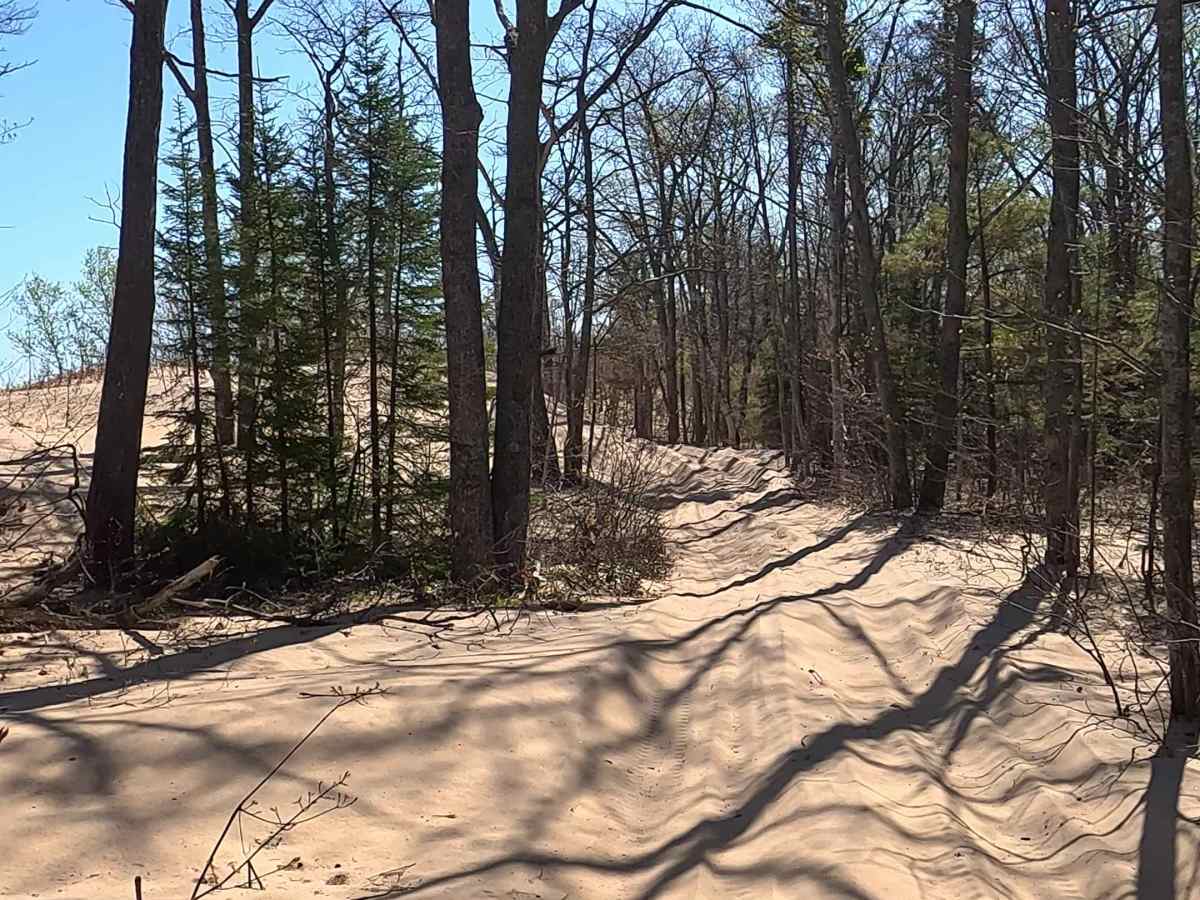 West Wildcat Road trail photo