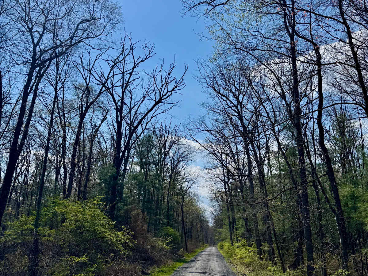 East Spruce Run Road photo 3
