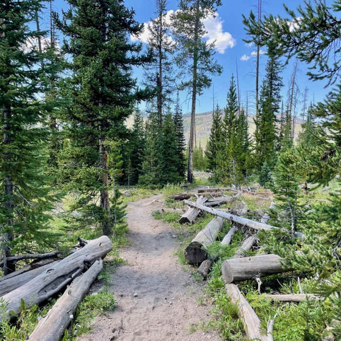 Near Continental Divide Trail: Wyoming Section 19