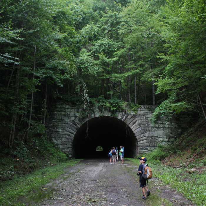 The west side of the "Road to Nowhere" tunnel. Near Lakeshore Tunnel Loop