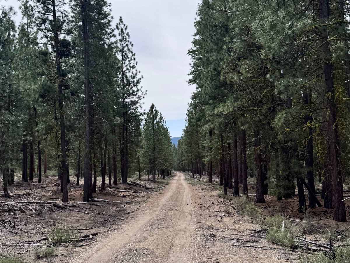 FS 7620000 trail photo