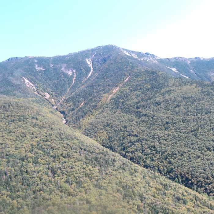 Near Old Bridle Path