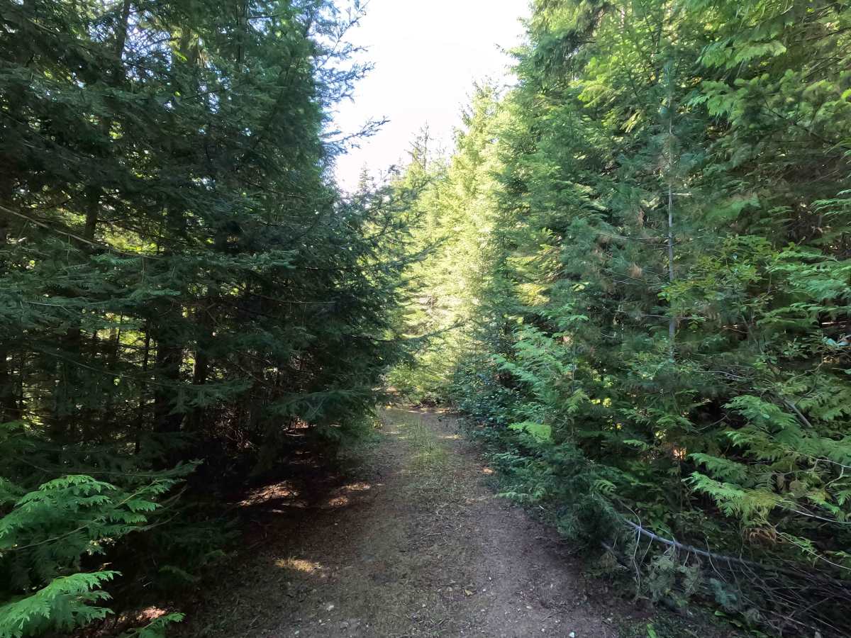 West Skip - FS 1342 photo 6