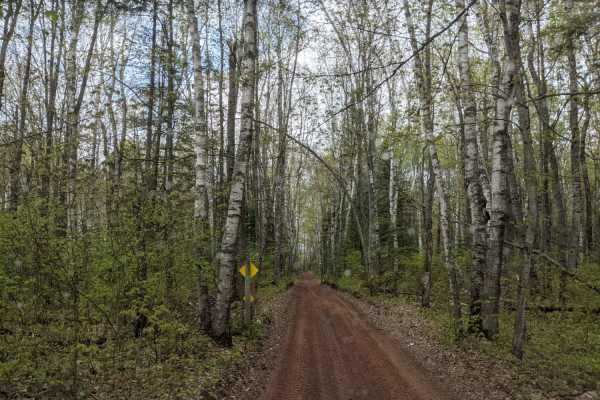Park Forest, Potlatch, and Hilton Trails
