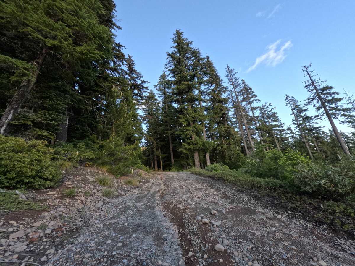 Frog Lake Butte - FS 2610-220 photo 6