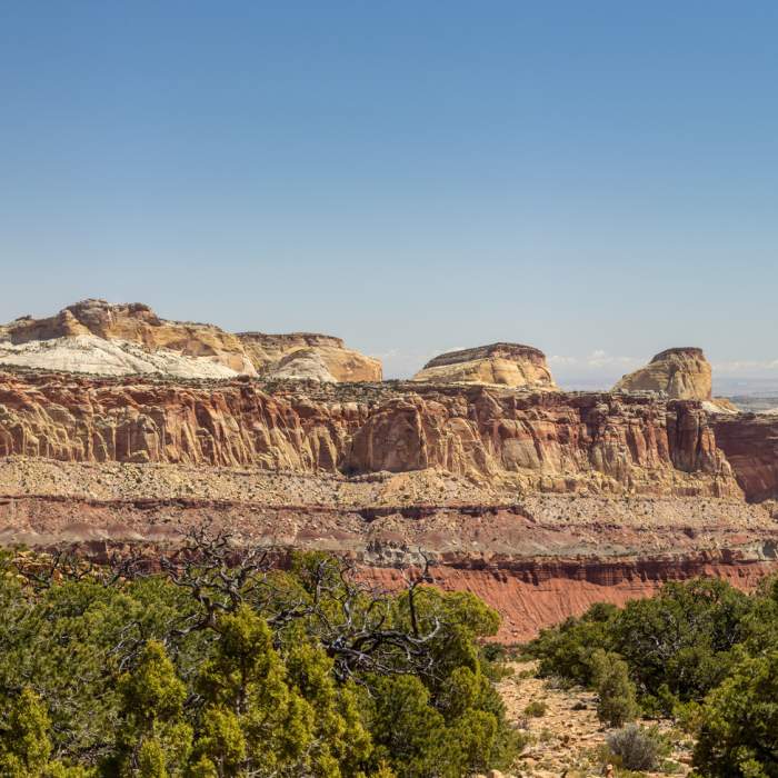 Near Old Wagon Trail