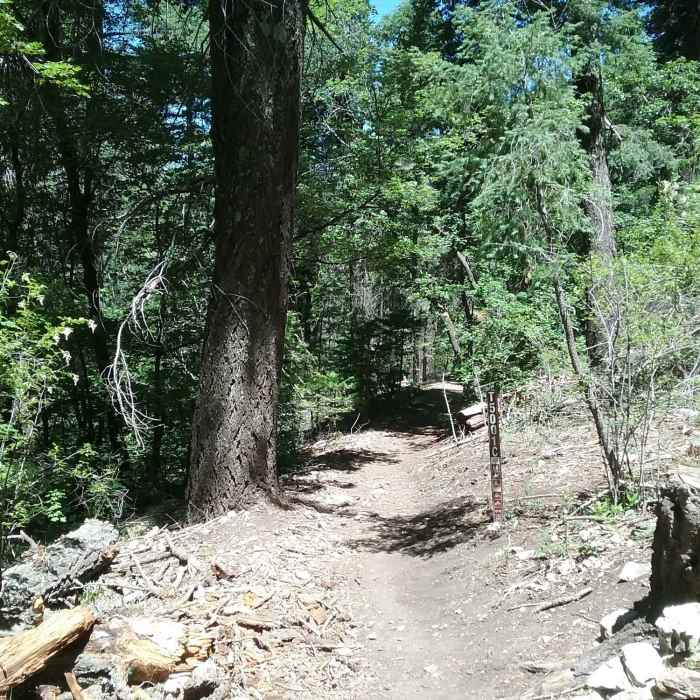 Near Cloud Climbing Trestle Trail (T5001)