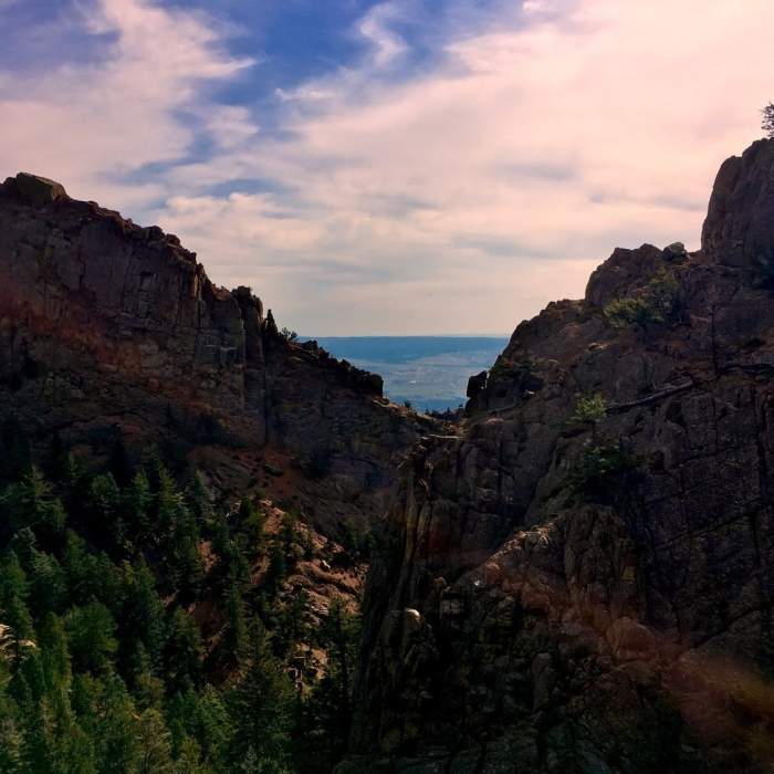 Near Stanley Canyon Trail #707