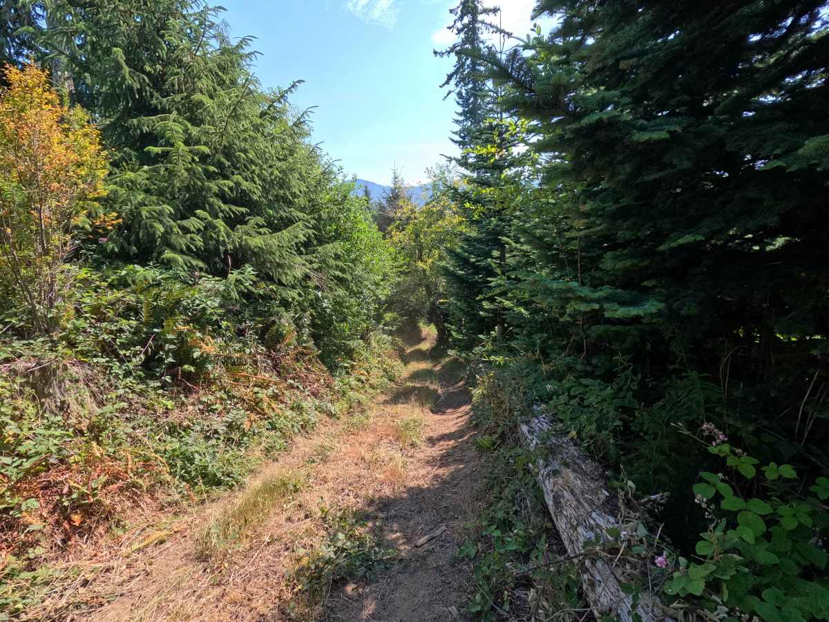 Mountain Fresh photo 4