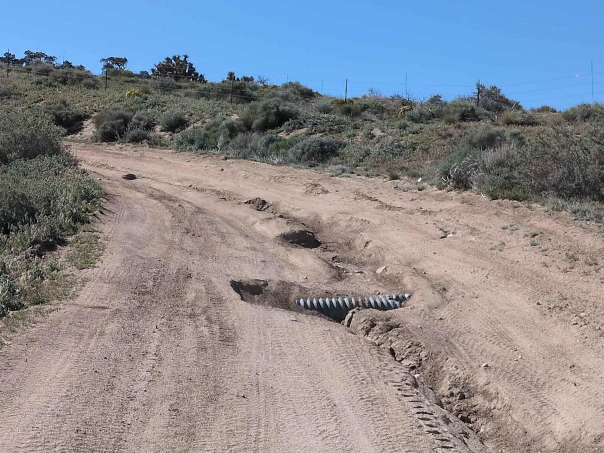 BLM SC228 photo 4