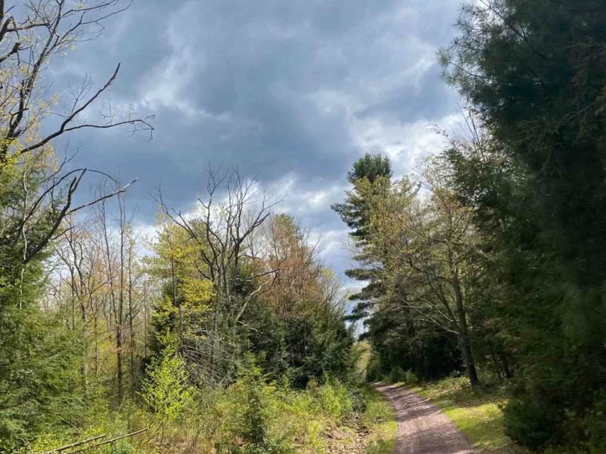 Balish Road photo 5
