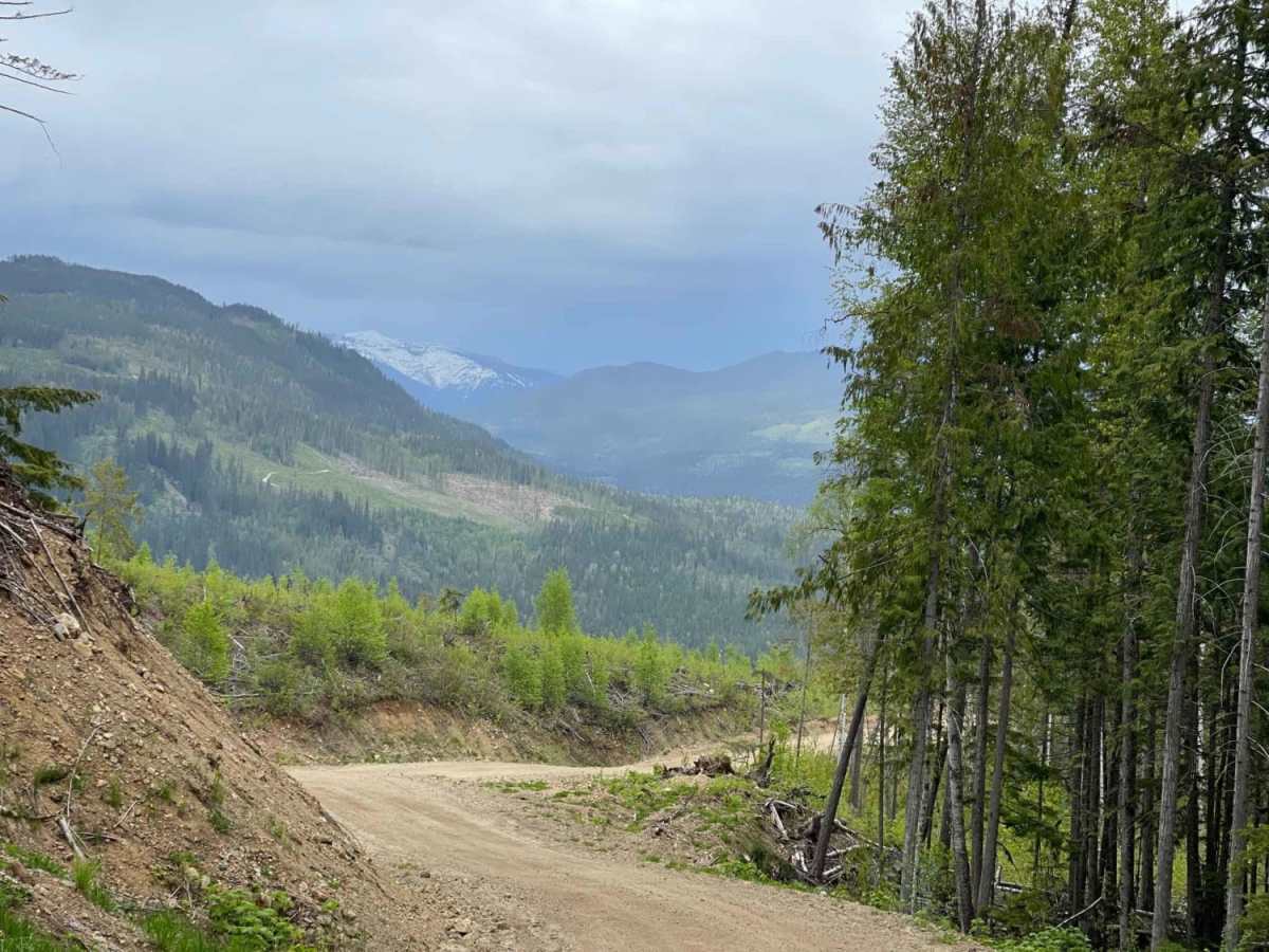 Maks Road trail photo