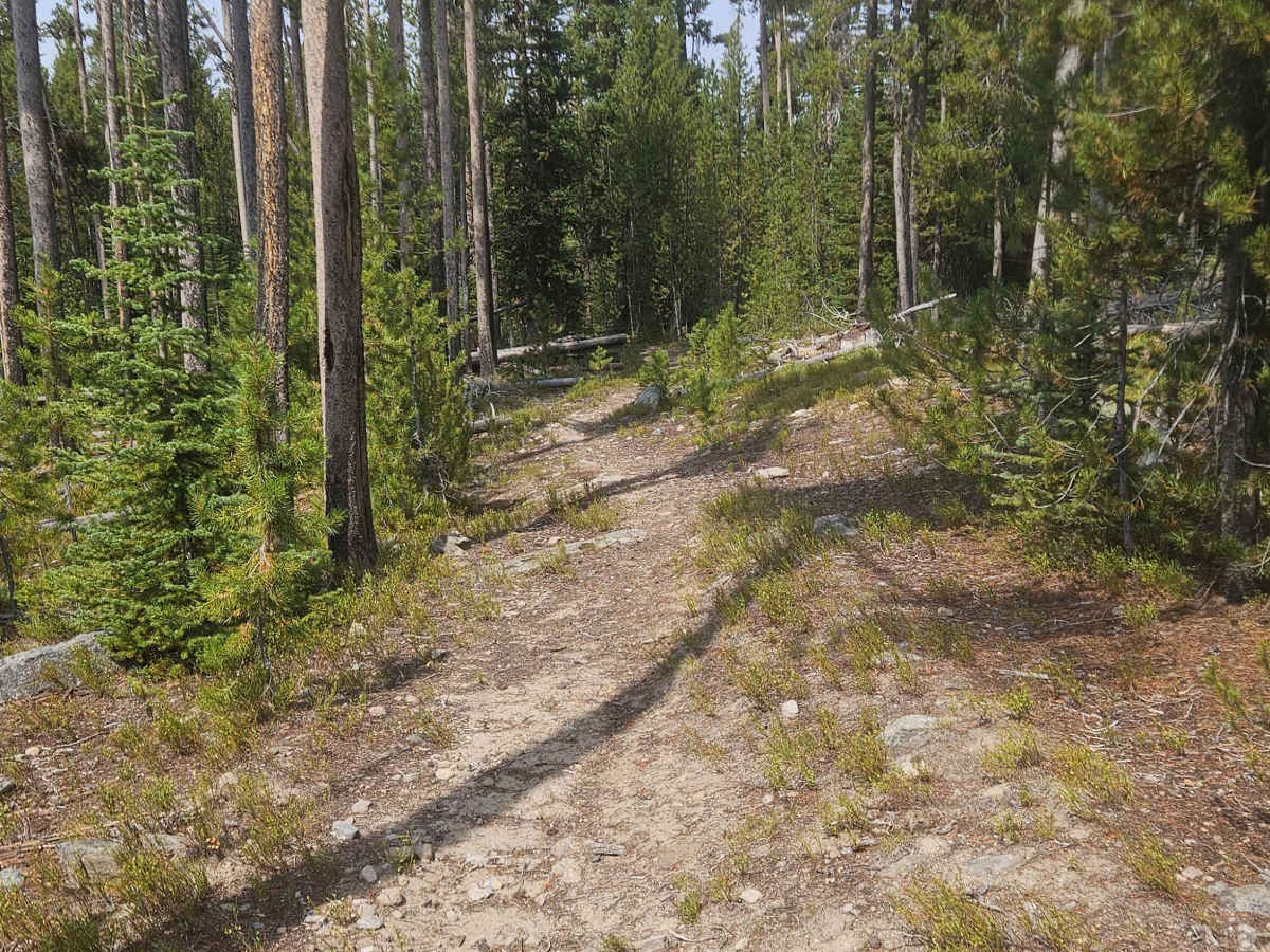 Camas Creek photo 5