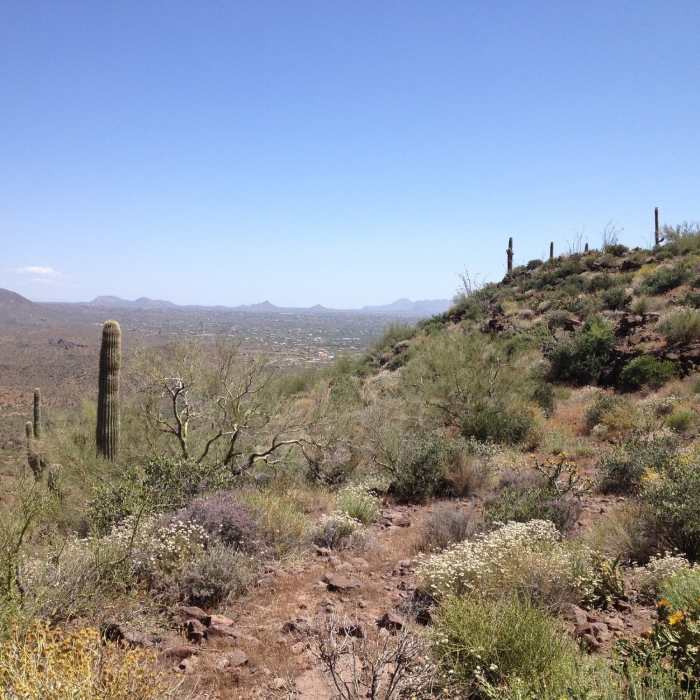 The view from the "Pass" on Spur Cross Trail. The climb is worth the view. Near Elephant Mountain Trail