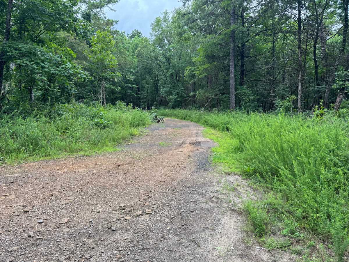 Bigham Road trail photo