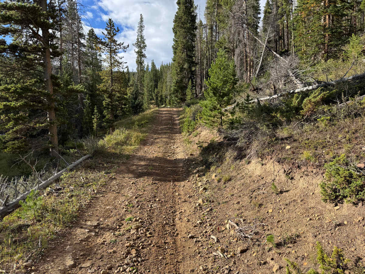 Galena Gulch Road photo 4