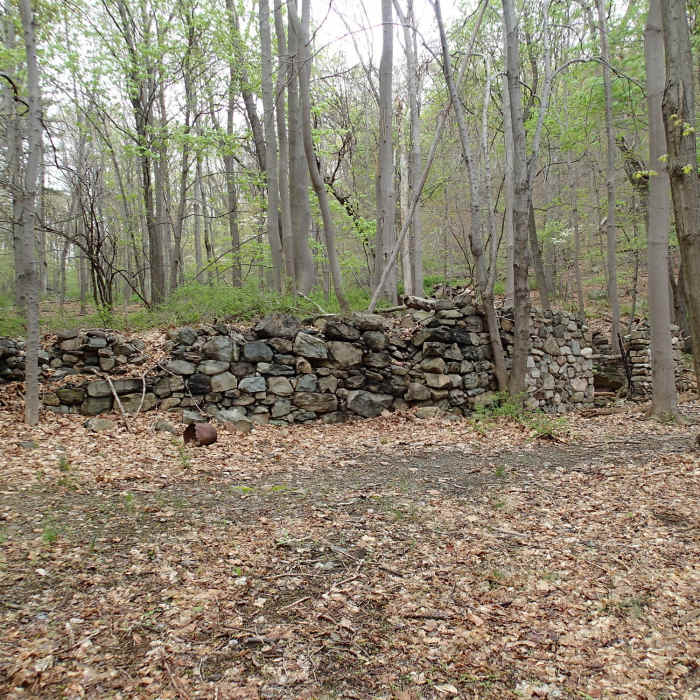 Near Carriage Road