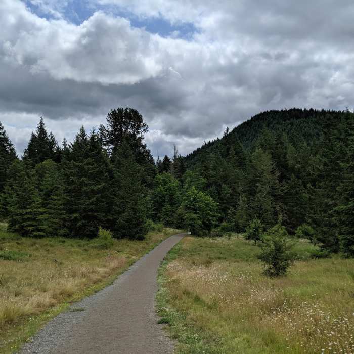 Looking out from the trailhead. Near Deschutes Falls Park