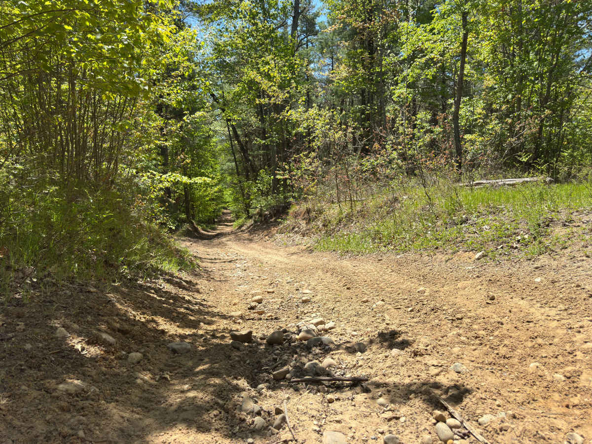 Hippie Circle Trail photo 3