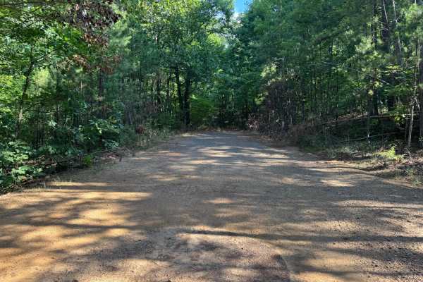 Minnow Creek
