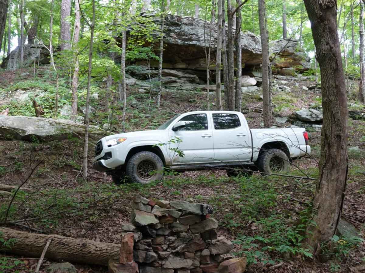 Wolf Knob photo 2
