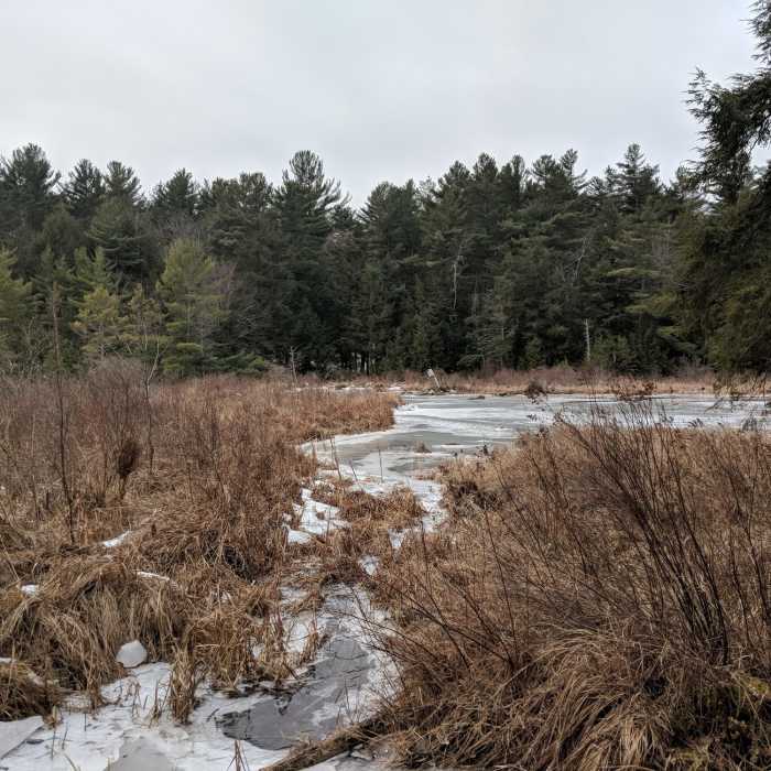 open water wetland on York Lake in winter Near York Lake Loop Trail