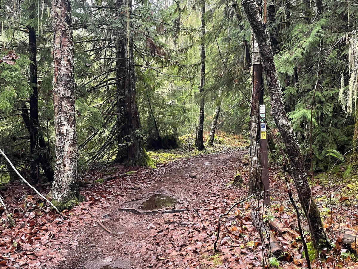 Ridge Connector photo 3