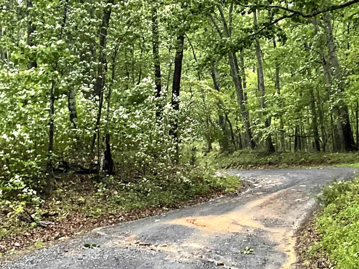 Rte 633 trail photo