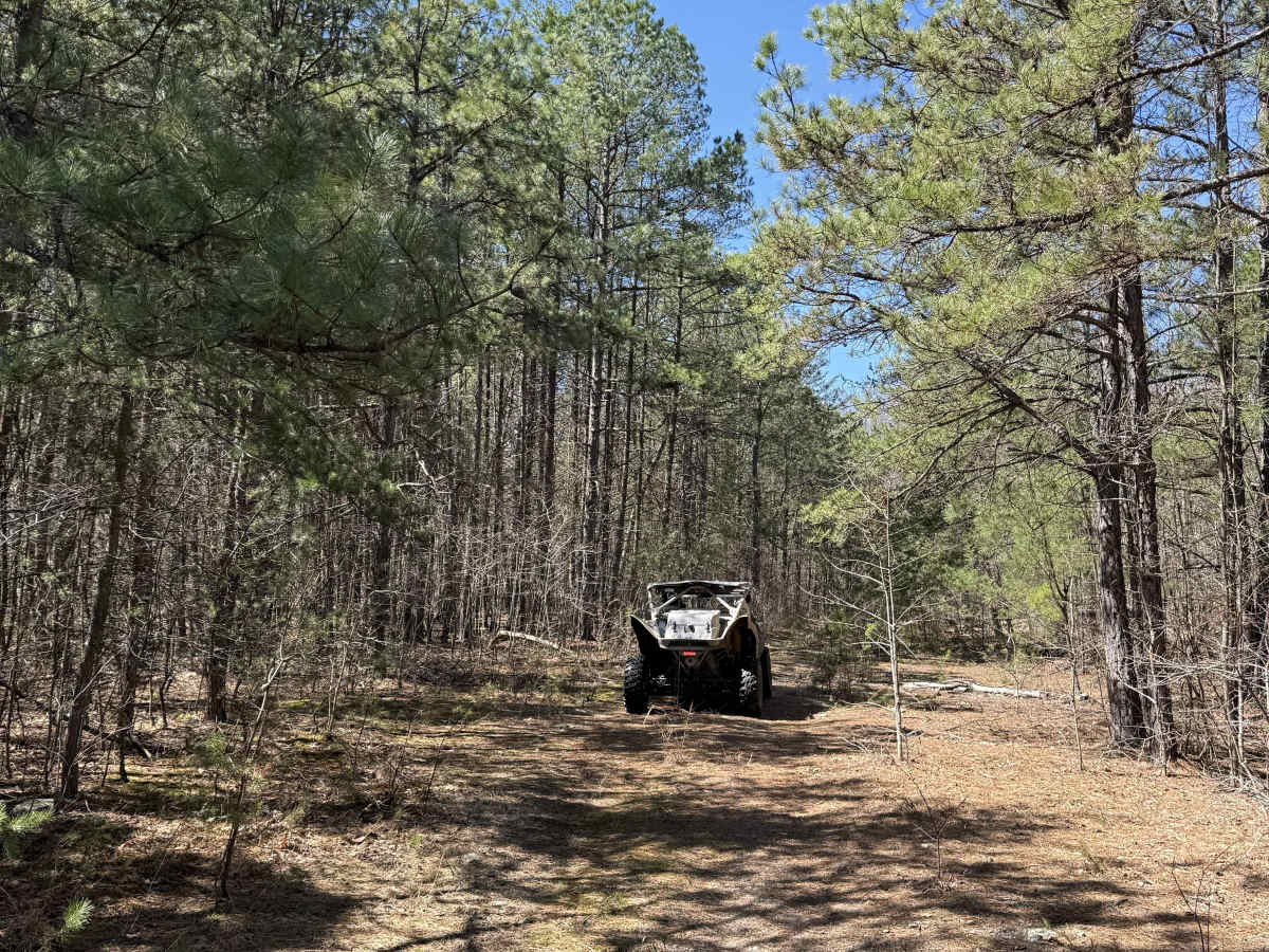 W5 trail photo
