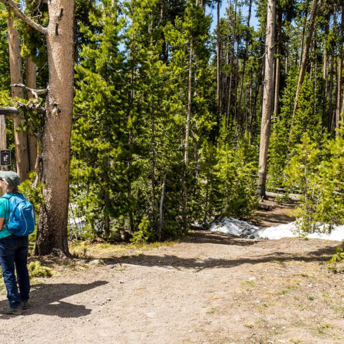 Near Cascade Lake Trail